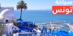 ما هو الموقع الأزرق تونس